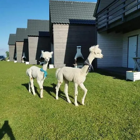 Przystan Jastrzebia Domki Z Alpakami Jastrzebia Gora Exterior photo