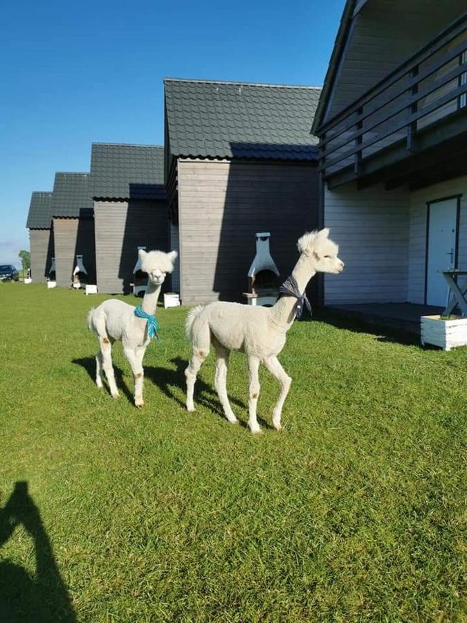 Holiday home Przystan Jastrzebia Z Alpakami *